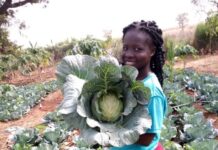 CAMFED targeting women able to change the future of farming in Africa