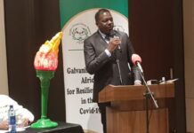 ‘Sustain anti-Climate Change voices’ Africa implored