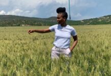 Technological innovations in farming sector