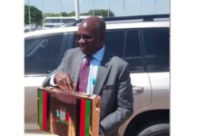 Zambia’s US$11.2 bln budget, an agricultural stimulant