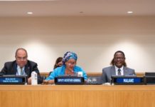 77th UNGA meetings stress key AfDB priorities: climate finance, job creation, and food insecurity
