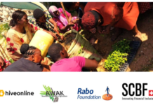 hiveonline expands AWAK outreach through Rabo Foundation and Swiss Capacity Building Fund