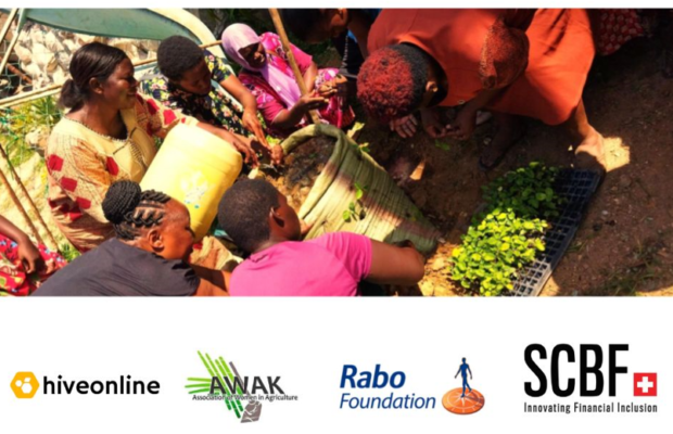 hiveonline expands AWAK outreach through Rabo Foundation and Swiss Capacity Building Fund