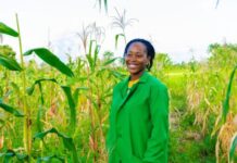 Global Health to fund agriculture climate adaptation projects in Africa