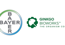 Bayer ,Ginkgo Bioworks close deal creating Agricultural Biologicals Powerhouse