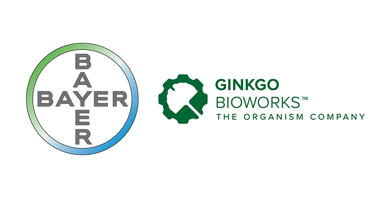 Bayer and Ginkgo Bioworks close deal creating Agricultural Biologicals Powerhouse