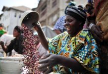 Innovative Financing Crucial for Africa’s Agrifood Transformation – Report
