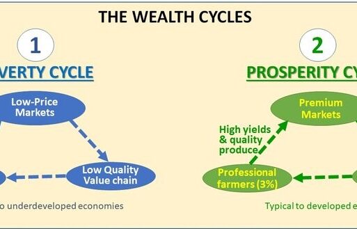 wealth cycle