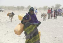 Adapt or starve – UN Agricultural Fund calls for urgent climate finance for small-scale farmers