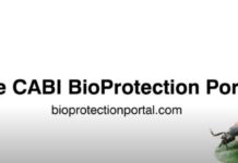 CABI BioProtection Portal reaches one million milestone