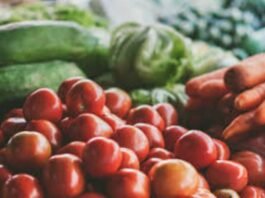 New IFT white paper provides blueprint for building a future-ready food science workforce S. Sudan, UN launches parliamentary alliance on food, nutrition security