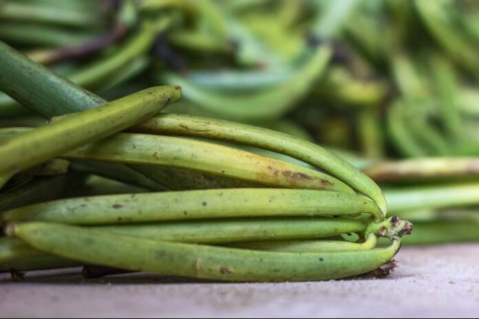 Agri Resources Group, UNDP, ADD-OI to develop a sustainable vanilla supply chain in Madagascar and Mauritius