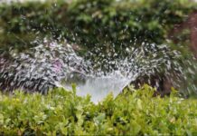 Morocco increases irrigation budget Afreximbank develops climate change adaptation facility in Kenya