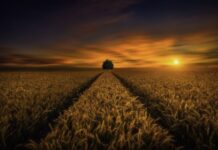 Gambia, Senegal launch first Cross-Border Project Steering Committee Gambia, Senegal launch first Cross-Border Project Steering Committee