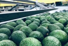 Kenya, South Korea settle on free trade agreement Kenya, South Korea settle on free trade agreement