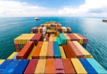 Rwanda to launch its first avocado sea freight shipment Rwanda to launch its first avocado sea freight shipment