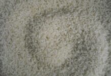 Nigeria to build 10 large scale integrated rice mills Nigeria to build 10 large scale integrated rice mills