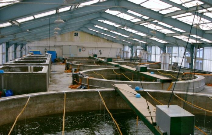 Kabonyo-Kanyagwal fish project in Kenya set for take off