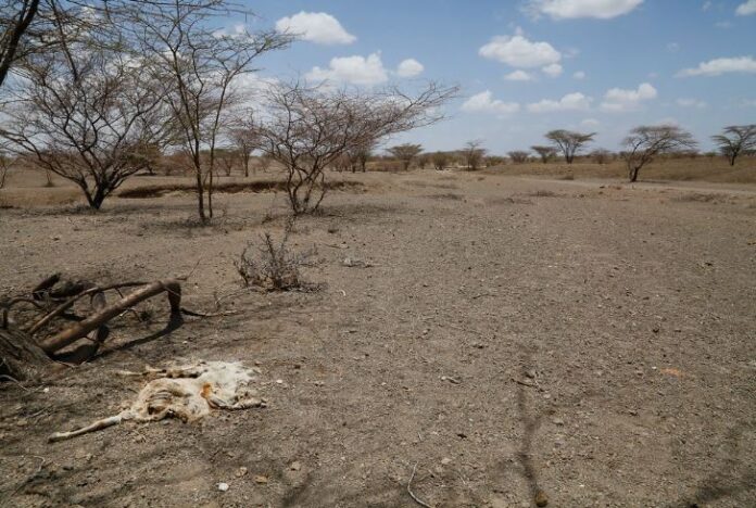 Kenya to scale up drought response