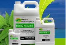 Establishing Taiwan as the hub for Asia Agriculture, Livestock, and Aquaculture Industries