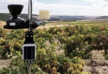 Farmers say digital technologies key to productivity