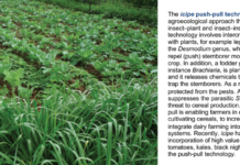 IKEA Foundation provides USD 5 million grant to icipe