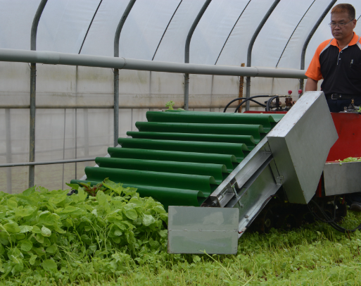 Leafy Vegetable Harvester from Tai Li Machinery Co., Ltd.