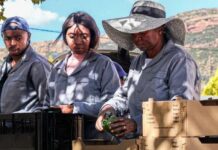 World Bank transforms farmers into entrepreneurs