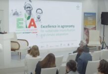 Smallholder Farmers Need Immediate, Actionable Solutions Now Says CGIAR Excellence in Agronomy Initiative (EiA) at COP 27