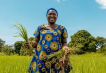 Nestlé partners with Africa Food Prize to strengthen food security and climate change resilience