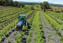 Atena project, Antonio Carraro pushes electrification