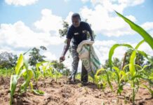 Farmers embrace smart insurance to guard against climate shocks