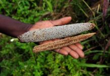 Africa climate negotiators to take a common position informed by science at the upcoming COP27