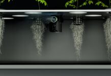 Baltic Freya unveils next-gen aeroponics tech in extensive whitepaper