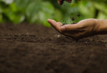 A unique event on intelligent soil and land use management