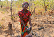 Agroecology, best remedy for Africa’s food insecurity’ – CSOs