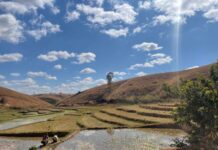 Navigating climate change: helping Malagasy farmers safeguard their livelihoods