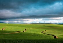 Addressing Water Security and Quality Is Essential for Unlocking Agriculture Potential