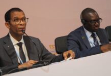 Africa needs US$86 billion for climate Adaptation
