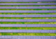 Understanding Net Metering for Solar on Farms