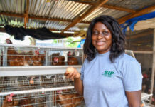 Ghana: African Development Fund approves $27.9 million grant for Savannah Agriculture Value Chain Development Project