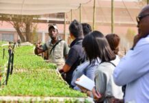 Bio scientists helping farmers grow produce