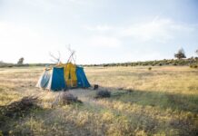 What Impact Will Farm Camping Have on Agriculture?