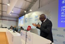 5 SADC countries in US$350 mln climate fund galore