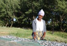 IFAD loan to help mitigate impact of crises on small-scale producers and the underserved in Mozambique