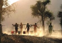 Farmer organizations convene amid crisis, to discuss support for small-scale farmers in East and Southern Africa