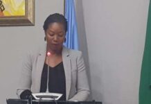 Zambia embraces Private Sector over 8th NDP