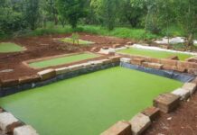 Liquid Fertiliser, organic farming, panacea for Africa-Zambian Farmer