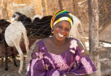 African Development Bank grants about EUR 40 million for the development of livestock production and productivity
