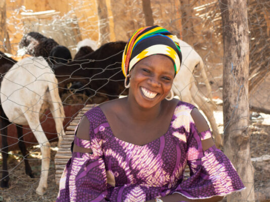 African Development Bank grants about EUR 40 million for the development of livestock production and productivity